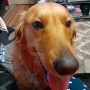 Meet your Posher, Christine